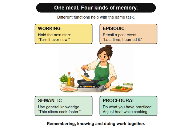 Diagram of one meal using working, episodic, semantic, and procedural memory