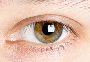 qualitative-eye-tracking-small