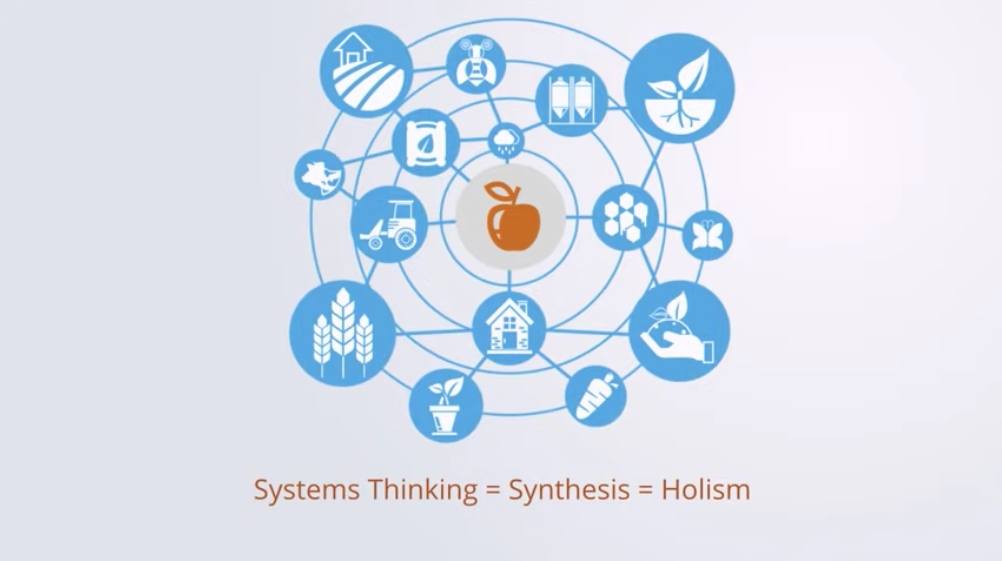 Analysis and reductionism by System Innovation. Synthesis and systems thinking by System Innovation