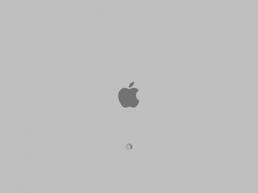 Apple Grey Screen of Death